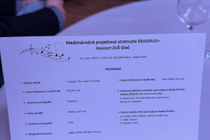 19 Erasmus Train ZUS Slica 2025 03 24